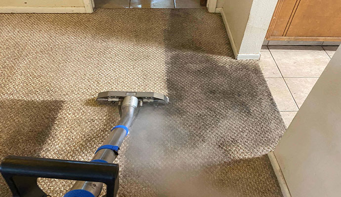 carpet cleaning london ontario
