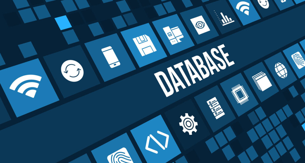 bespoke database software
